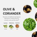 Fruit & Passion Cucina Coriander & Olive Mini Hand Soap Refill (250ml) and Nourishing Hand Cream (50ml) Bundle