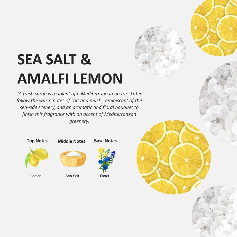 Fruits & Passion Cucina Sea Salt and Amalfi Lemon Regenerating Hand Cream 5 Ounces