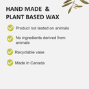 Fruits and Passion Cucina Sea Salt and Amalfi Lemon Perfumed Wax Candle 7.7 Ounces-Features