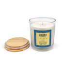 Fruits and Passion Cucina Sea Salt and Amalfi Lemon Perfumed Wax Candle 7.7 Ounces--Opened
