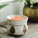 Candle Warmers Bronze Leaf 2-in-1 Classic Fragrance Warmer
