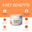 Bee By The Sea Overnight Cream - 1.70 oz / 50ML