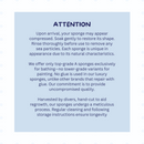 Barefoot Venus All Natural Sea Premium Sponge - Medium Size