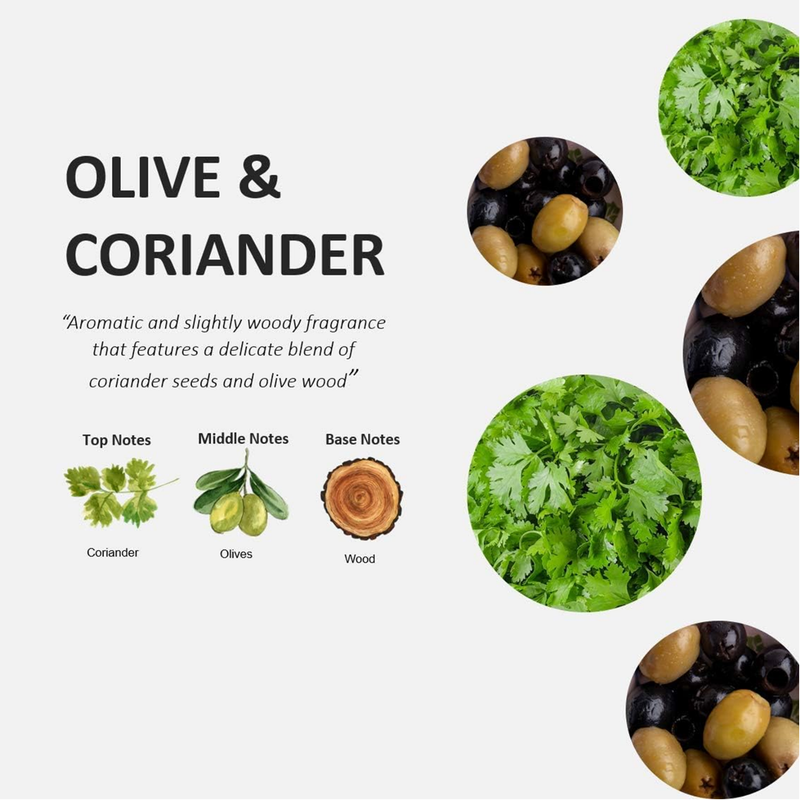 Cucina Fruits & Passion Coriander & Olive Tree Travel Mini Dish Detergent Refill 240 ML – 3 Pack