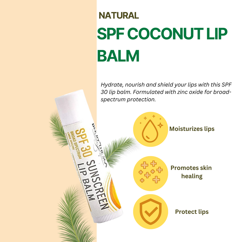 Bee by the Sea Moisturizing, Soothing and Nourishing Lip Balm with Sea Buckthorn SPF Lip Balm - Coconut