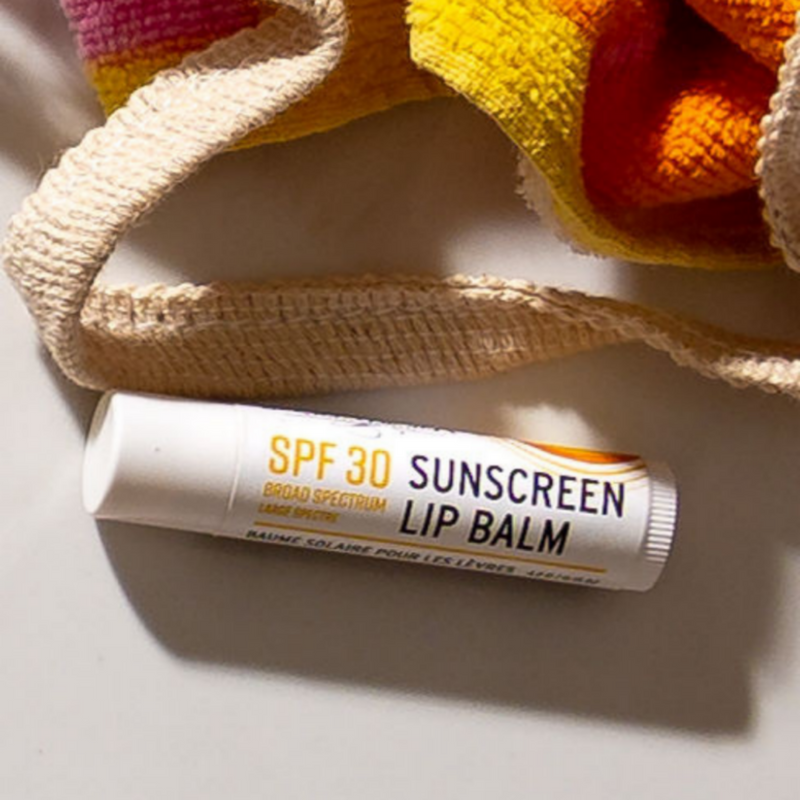 Bee by the Sea Moisturizing, Soothing and Nourishing Lip Balm with Sea Buckthorn SPF Lip Balm - Coconut