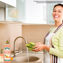 Fruits & Passion [Cucina] Peach and Mandarin Concentrated Dish Detergent Bottle 500 ml (2 pack)