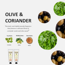 Cucina 6 Pack Regenerating Hand Cream Fruits & Passion Travel Size Set | Coriander Olive Tree | Lime Zest Cypress | Sea Salt Amalfi Lemon