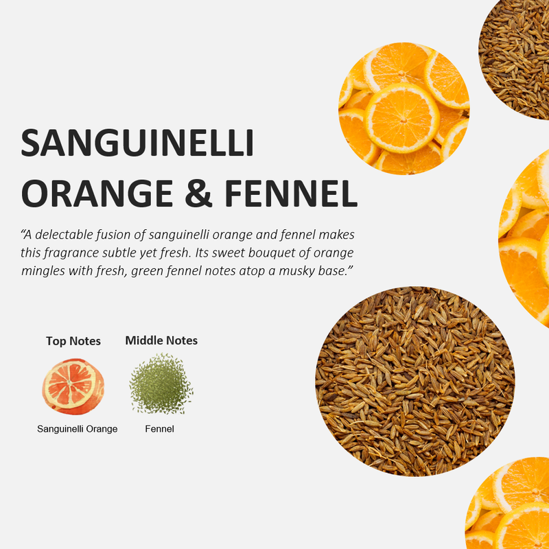 Cucina Sanguinelli Orange and Fennel Fragrant Kitchen Mist 100 Milliliters