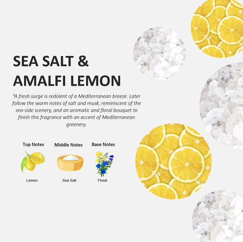 Cucina Sea Salt and Amalfi Lemon Concentrated Dish Detergent 16.9 Ounces