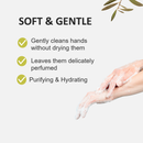 Cucina Sea Salt and Amalfi Lemon Hand Soap 16.9 Ounces