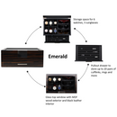 Decorebay Luxury Watch and Jeweler Display Case and Jewelry Organizer (Emerald)