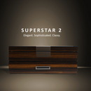 Decorebay SuperStar Luxury Watch and Sunglasses Display Case and Jewelry Organizer