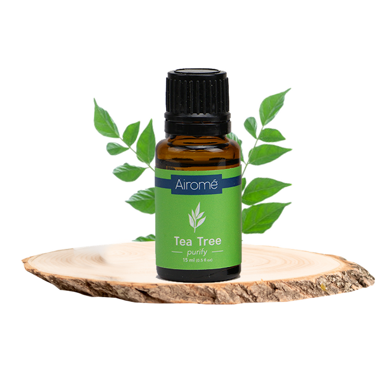 Airome Tea Tree 100% Pure Therapeutic Grade Essential Oil 15 Milliliters (15ml)-has a cool, purifying aroma.