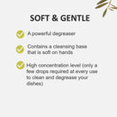 Fruits & Passion Cucina Sanguinelli Orange and Fennel Biodegradable Concentrated Dish Detergent 16.9 Ounces-2 Pack