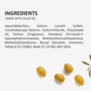 Fruits & Passion Cucina Sanguinelli Orange and Fennel Biodegradable Concentrated Dish Detergent 16.9 Ounces-2 Pack