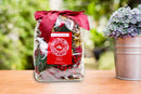 Claire Burke Christmas Memories Potpourri 2 Dry Quarts- Front View
