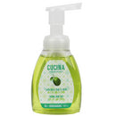 Fruits & Passion Cucina Lime Zest & Cypress Foaming Hand Soap 250 Milliliters